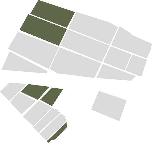 Parcelle Vigne Blanche