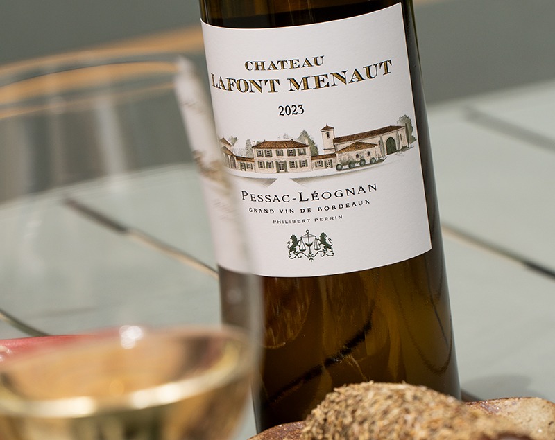 photo vigne blanche 2023