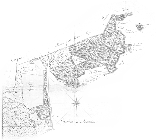 plan parcelle ancien